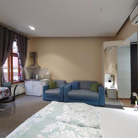 Apartment Danijela-City Centar Beograd Eksteriør billede