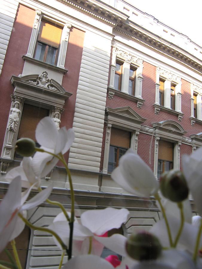 Apartment Danijela-City Centar Beograd Eksteriør billede