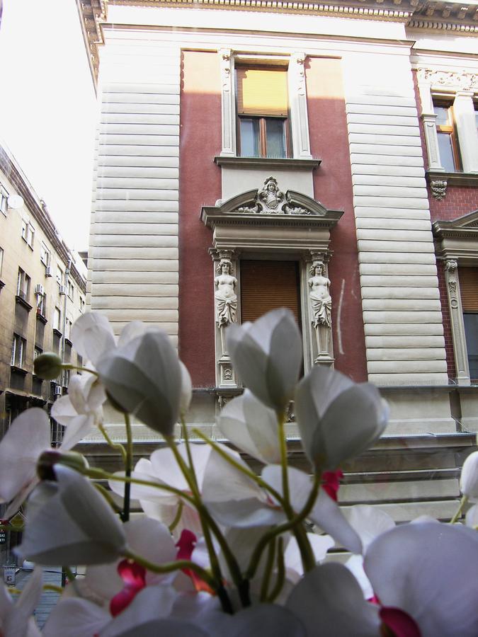 Apartment Danijela-City Centar Beograd Eksteriør billede